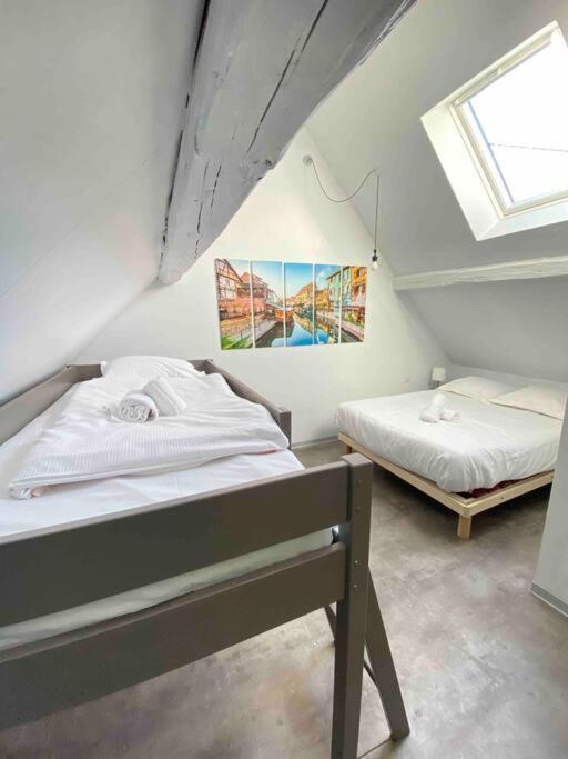 KatzenthalLe Cocon Du «Katzelberg» A 10Mn De Colmarアパートメント エクステリア 写真